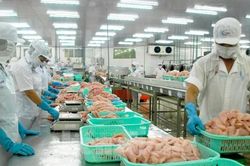 Vì sao xuất khẩu thủy sản đang tăng phi mã bất ngờ tuột dốc?