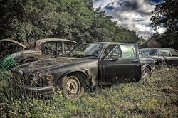 Nghĩa địa xe cổ toàn 'hàng thửa' Jaguar, Austin được tìm thấy bởi một nhiếp ảnh gia