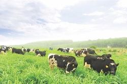 ESG trong các doanh nghiệp tiên phong
