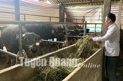 Chủ động ứng phó với biến động thời tiết
