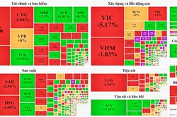 Nhóm cổ phiếu vốn hóa lớn giảm mạnh, VN-Index đảo chiều mất hơn 12 điểm