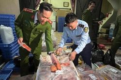 Phát hiện 1 tấn ức vịt, cánh gà không rõ nguồn gốc