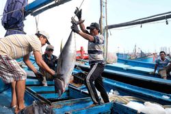 UNCLOS tạo cơ sở để chúng ta vững tin phát triển