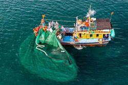 Quyết liệt thực hiện các khuyến nghị của EC trong việc gỡ 'thẻ vàng'