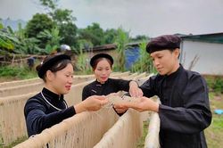 Tiêu thụ hàng hóa ở vùng đồng bào DTTS và MN đã khởi sắc