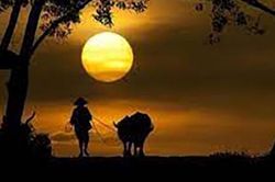 Đêm thức với làng