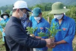 Kinh tế Ít nhất trồng thêm 7 triệu cây xanh