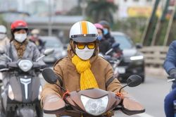 Chủ động phòng chống rét đậm, rét hại
