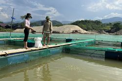 Xây dựng chuỗi liên kết trong sản xuất thủy sản