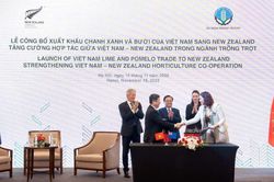 Việt Nam và New Zealand đẩy mạnh hợp tác vì mục tiêu tăng trưởng