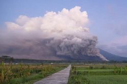 Indonesia nâng mức cảnh báo cao nhất do núi lửa phun trào