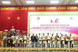 Đề xuất giải pháp đào tạo nhân lực logistics cho khu vực Đồng bằng sông Cửu Long