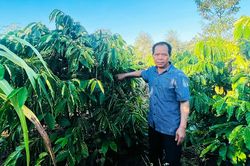 Vị 'quan tòa' của làng Mrông Ngó 4