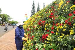 Bảo Lộc gấp rút chuẩn bị cho đêm hội ''Hương trà, Sắc tơ''