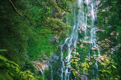 Thơ mộng vẻ đẹp thác Ong Chúa giữa núi rừng Nhìu Cồ San