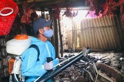 Sốt xuất huyết bùng phát, ghi nhận hơn 8.000 ca mắc ở Quảng Bình