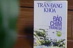 'Vì sao nước biển lại mặn đến thế'