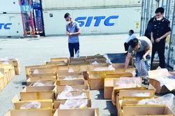 Tình hình buôn lậu vẫn phức tạp, hàng giả gia tăng trên không gian mạng