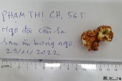 Ngộ độc sau khi ăn bỏng ngô nghi có tẩm cần sa