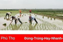 Lịch lấy nước phục vụ vụ Đông Xuân 2022-2023