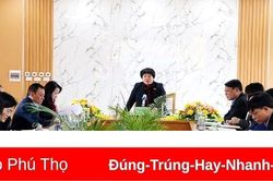 Khảo sát việc thực hiện chính sách pháp luật về tài chính và nhân lực y tế
