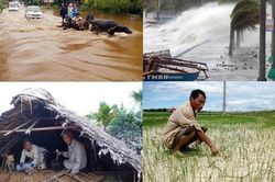 Lỗ hổng pháp luật về sự cố môi trường