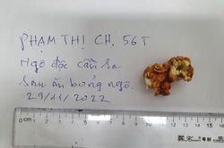 Ngộ độc do ăn bỏng ngô nghi tẩm cần sa