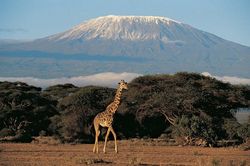 Tanzania, quốc gia ổn định chính trị hàng đầu ở Đông Phi