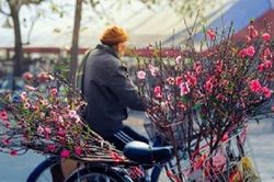 Tết Nguyên Đán rơi vào chính Đông, khả năng rét đậm rét hại