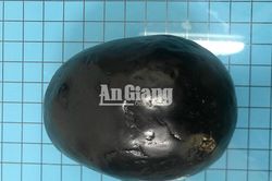 Công an An Giang bắt nhóm đối tượng lừa bán thiên thạch chiếm đoạt 500 triệu đồng