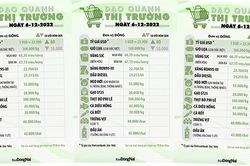 Dạo quanh thị trường 6-12-2022
