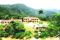Ước mơ nhỏ bé