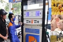Giá các mặt hàng thiết yếu ngày 7/12: Heo hơi giảm nhẹ, dầu thô giảm mạnh