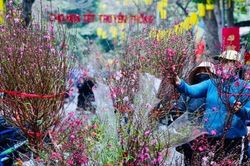 Công chức, viên chức được nghỉ Tết Nguyên đán 7 ngày