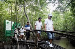 11 tháng năm 2022, Cà Mau thu hút gần 1,5 triệu lượt khách du lịch