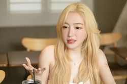Elly Trần chính thức đặt bút ký vào đơn ly hôn, nói một câu khiến ai nghe qua cũng xót xa