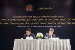 Lộc Trời cung ứng 500.000 tấn gạo cho Tổng công ty Lương thực miền Bắc trong năm 2023