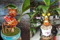 Dừa bonsai mèo phát tài lạ mắt đón Tết Quý Mão 2023