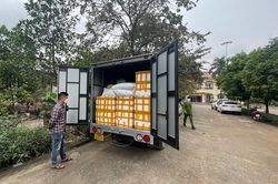 Vĩnh Phúc phát hiện 1,5 tấn sản phẩm đông lạnh không rõ nguồn gốc