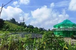 Thanh Hóa xử lý hàng loạt sai phạm trên đất nông nghiệp