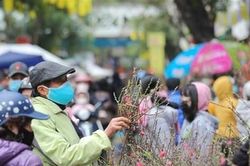Bộ Lao động thông báo về lịch nghỉ Tết Âm lịch Quý Mão
