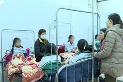 40 học sinh Sơn La nhập viện nghi ngộ độc thực phẩm