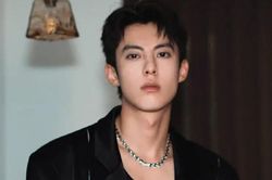Vương Hạc Đệ vừa nổi tiếng, gia đình đã gặp biến