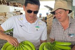 Hoàng Anh Gia Lai lãi kỷ lục nhờ giá chuối tăng trở lại