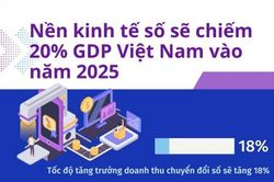 Nền kinh tế số sẽ chiếm 20% GDP Việt Nam vào năm 2025