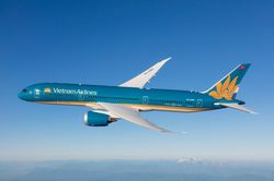 Vietnam Airlines và Pacific Airlines vận chuyển cành đào, cành mai dịp Tết Quý Mão 2023