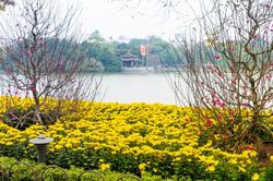 Triển khai kế hoạch tổ chức các hoạt động trước, trong và sau Tết Nguyên đán 2023