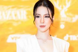 Diệp Lâm Anh: Anh Đức đón con trai về nhưng không cho tới trường