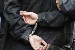 Europol triệt phá đường dây buôn người vào EU