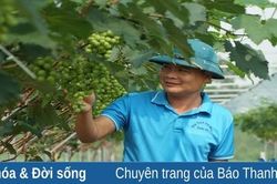 Người đưa cây trồng mới lên vùng đất Xuân Du